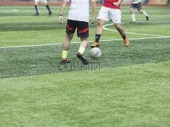 金价攀升受,经济数据提,降息预期升,B体育官网,B,Sports,足球直播,篮球赛事,体育高清,NBA直播