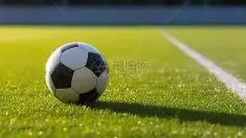 B体育 产品 104146 d3o