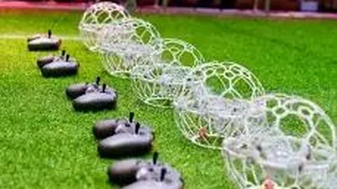 B体育 产品 113554 y9r